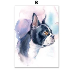 Beautiful Dog