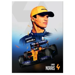 Formula 1 World Champions F1 Paintings Printed on Canvas - Image 12