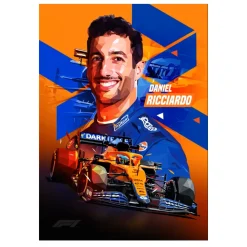 Formula 1 World Champions F1 Paintings Printed on Canvas - Image 17