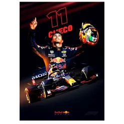 Formula 1 World Champions F1 Paintings Printed on Canvas - Image 19