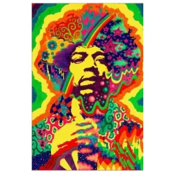 Colorful Artworks of Jimi Hendrix Printed on Canvas - Image 10