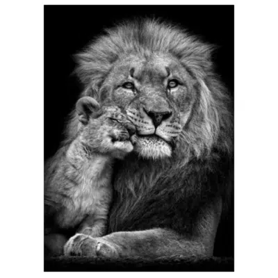 Lions and Other Animals 14