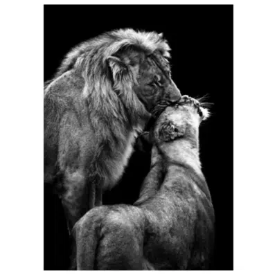 Lions and Other Animals 21