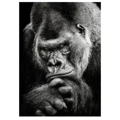 The Great Apes Pictures Wall Art Printed on Canvas - Image 3