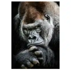 The Great Ape 2