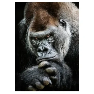 The Great Apes Pictures Wall Art Printed on Canvas - Image 4