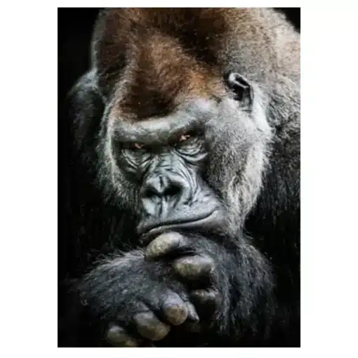The Great Apes Pictures Wall Art Printed on Canvas - Image 4