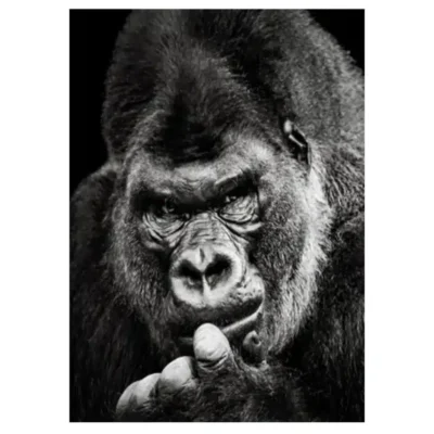 The Great Apes Pictures Wall Art Printed on Canvas - Image 5