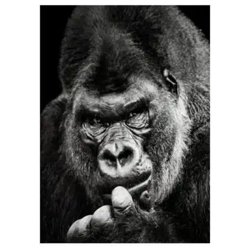 The Great Apes Pictures Wall Art Printed on Canvas - Image 5
