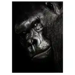 The Great Ape 4