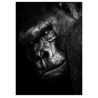 The Great Apes Pictures Wall Art Printed on Canvas - Image 6