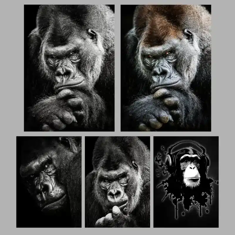 The Great Apes Pictures Wall Art Printed on Canvas