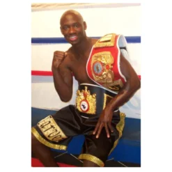 Top Boxers Paintings and Pictures Printed on Canvas - Image 3