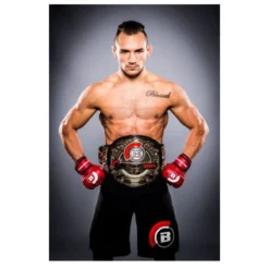 Top Boxers Paintings and Pictures Printed on Canvas - Image 9