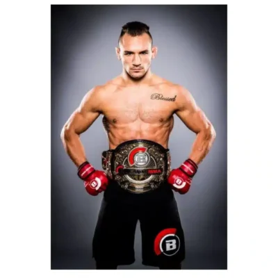 Top Boxers Paintings and Pictures Printed on Canvas - Image 9