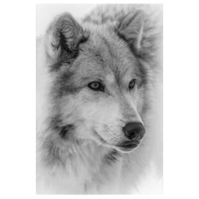 Beautiful Wolf and Dogs Wall Art Printed on Canvas - Image 2