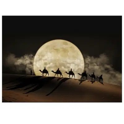 Moon Night and Camels in Desert