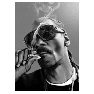 Snoop Dogg 9