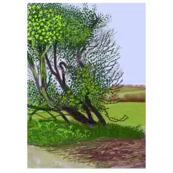 Painting by David Hockney