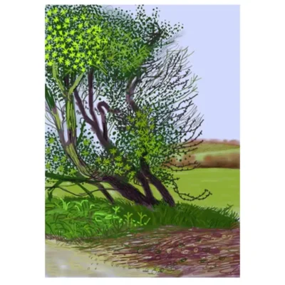 Painting by David Hockney