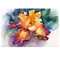 Abstract Colorful Iris