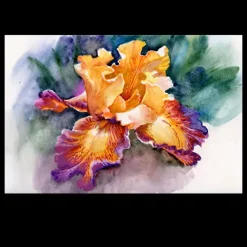 Abstract Colorful Iris
