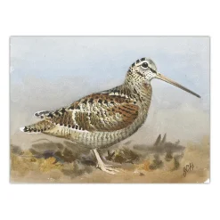 Birds in the Nature Paintings Printed on Canvas - Image 3