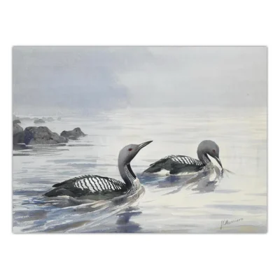 Birds in the Nature Paintings Printed on Canvas - Image 4