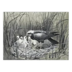 Birds in the Nature Paintings Printed on Canvas - Image 7