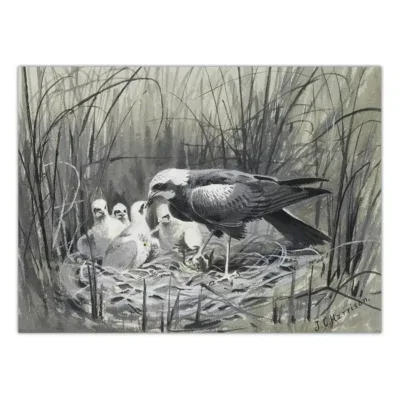 Birds in the Nature Paintings Printed on Canvas - Image 7