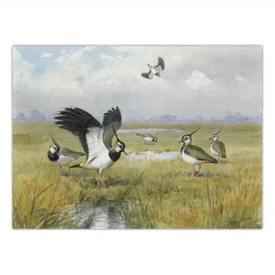 Birds in the Nature Paintings Printed on Canvas - Image 8