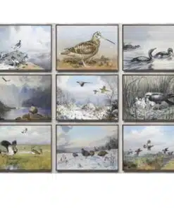 Birds in the Nature Paintings Printed on Canvas