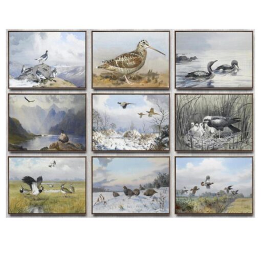 Birds in the Nature Paintings Printed on Canvas
