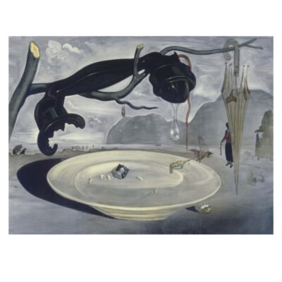 The Enigma of Hitler by Salvador Dalí 1939