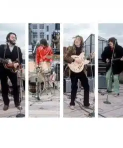 B The Beatles on the Roof of Apple Building in London