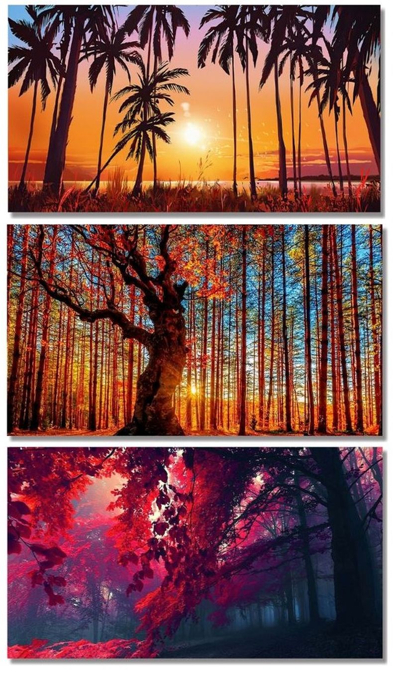 Colorful Landscape With Trees Artwork