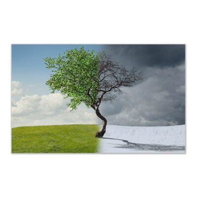 Seasons Artwork Summer and Winter Printed on Canvas - Image 2