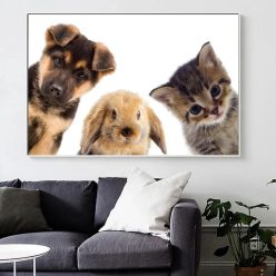 Curious Cute Animals Dog Rabbit and Cat Printed on Canvas