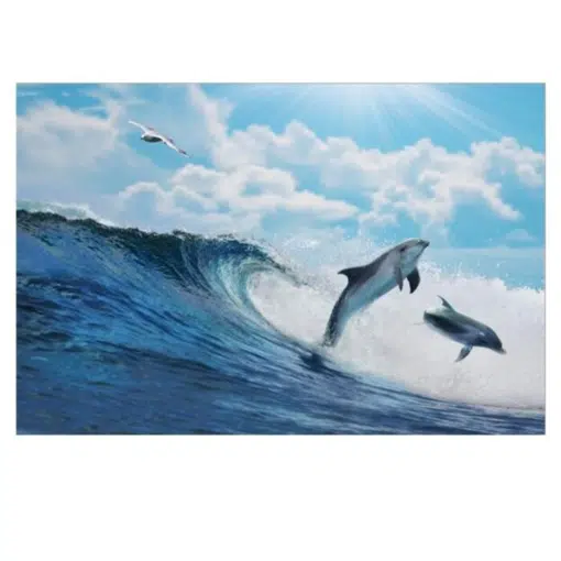 Dolphin A