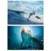 Seascape Artwork With Dolphins Printed on Canvas