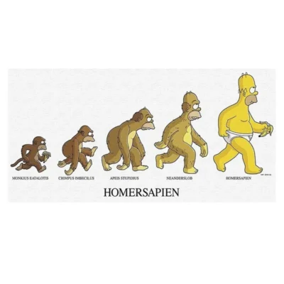 The Simpsons Evolutions