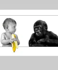 Ape Watching Baby Holding Banana Printed on Canvas