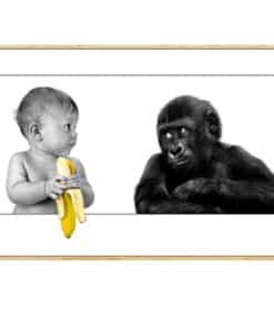 Ape Watching Baby Holding a Banana 1