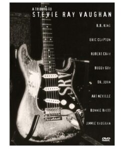 Stevie Ray Vaughan 4