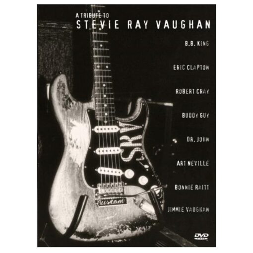 Stevie Ray Vaughan 4