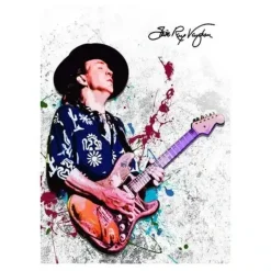 Stevie Ray Vaughan Wall Art Printed on Canvas - Image 7