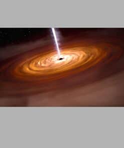 Quasar in the Early Universe 1 1