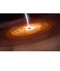 Quasar in the Early Universe 1