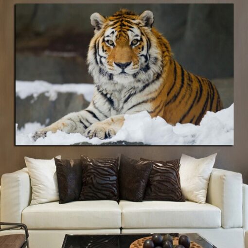 Tiger Lying in Snow Picture Printed on Canvas