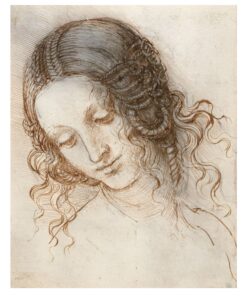 Study for the Head of Leda by Leonardo da Vinci c.1506